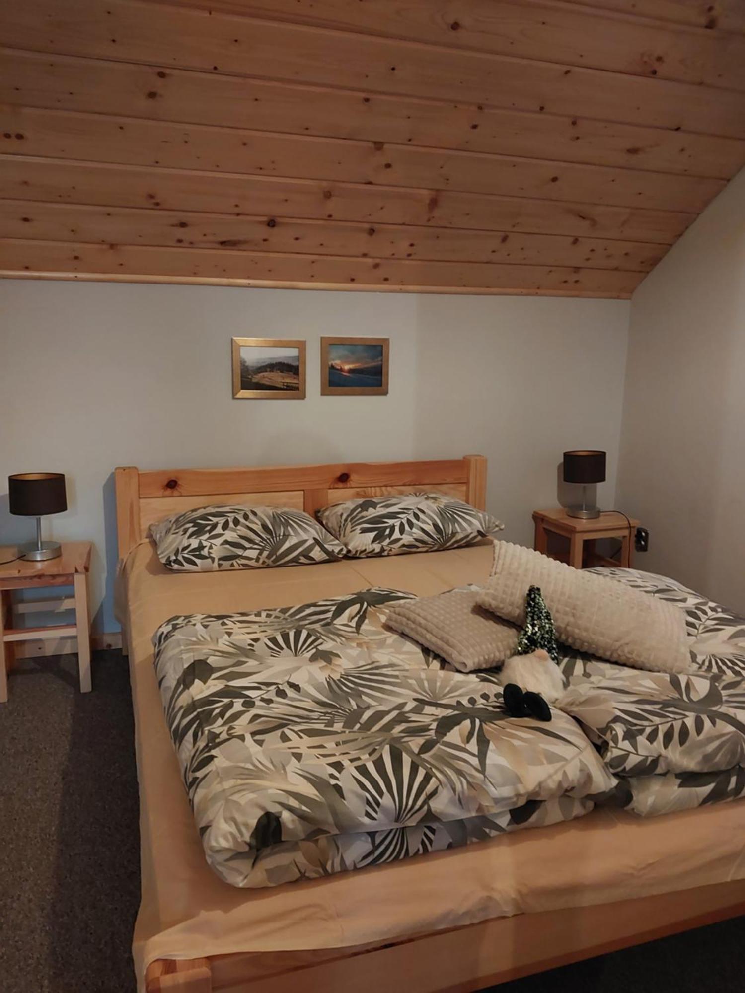 Zwardoniówka Apartamenty pod Orawcową Exterior foto