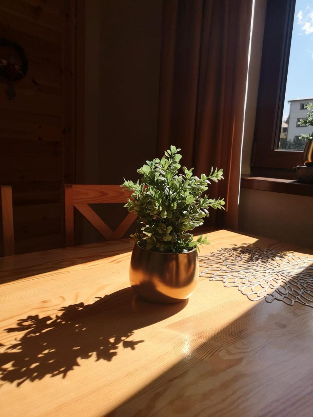 Zwardoniówka Apartamenty pod Orawcową Exterior foto